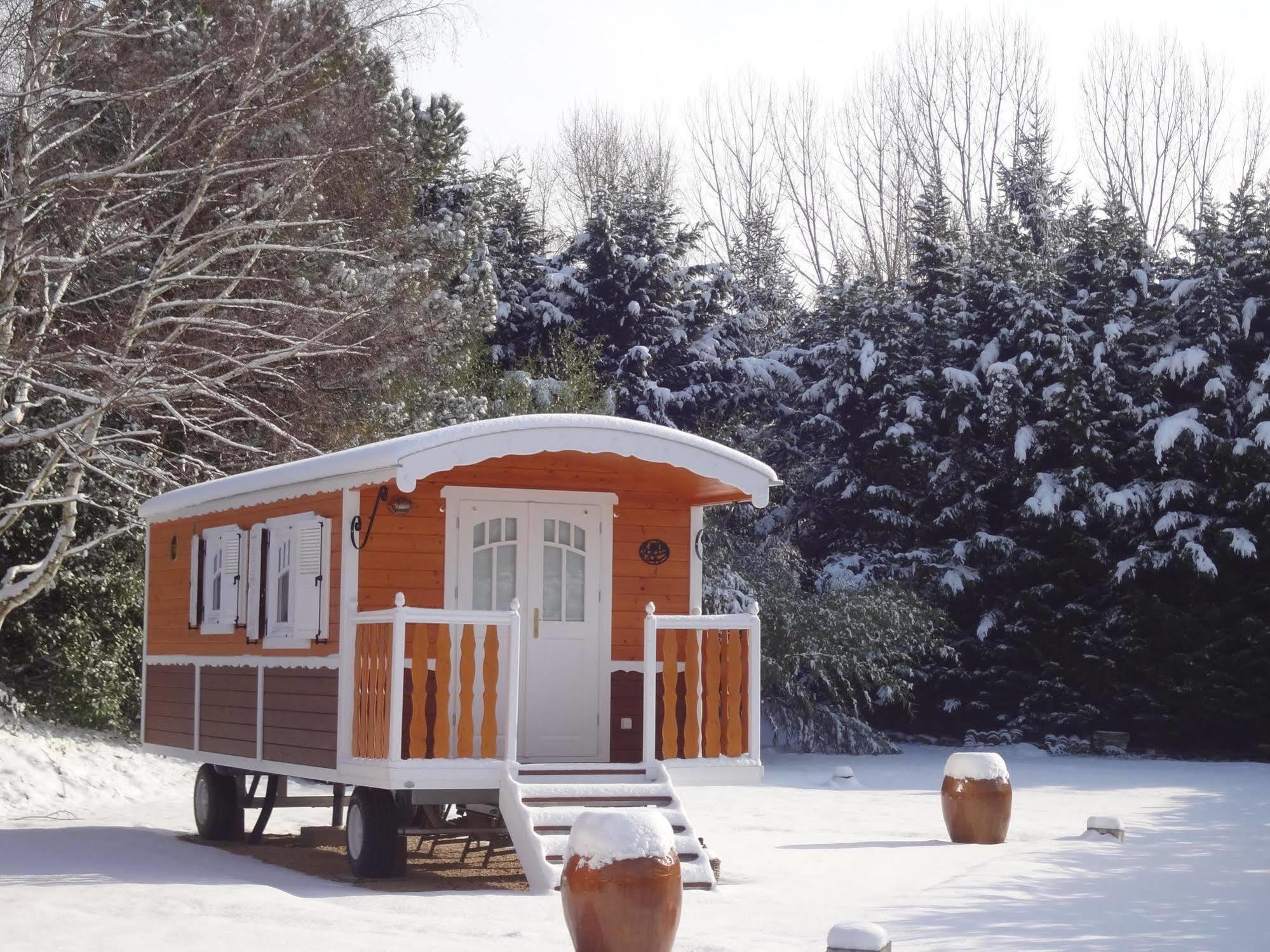 Logis Hotel-Restaurant Le Relais Hauterives Bagian luar foto